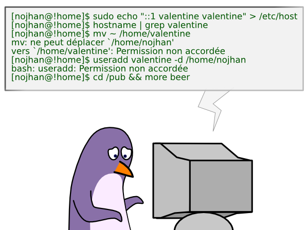 [nojhan@!home]$ sudo echo "::1 valentine valentine" > /etc/host [nojhan@!home]$ hostname | grep valentine [nojhan@!home]$ mv ~ /home/valentine mv: ne peut déplacer `/home/nojhan'  vers `/home/valentine': Permission non accordée [nojhan@!home]$ useradd valentine -d /home/nojhan bash: useradd: Permission non accordée [nojhan@!home]$ cd /pub && more beer