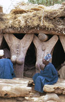 Des piliers en bois, figurant des fesses, pour soutenir le toit d'un habitat, quelque part en Afrique. JPEG - 10.2 ko