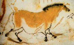 La peinture d'un cheval , dans son mouvement décomposé, sur la paroi d'un diverticule dans la grotte de Lascaux, en France. JPEG - 37.8 ko