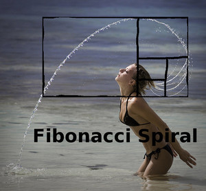 bionique-a190-spirale-fibonacci-a-f1b4e.jpg?1457200689