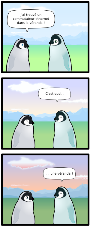 J'ai trouvé un commutateur ethernet dans la véranda ! C'est quoi... ... une véranda ?