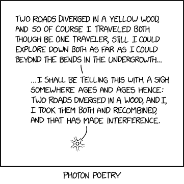 When you worry that you're missing out on something by not making both choices simultaneously by quantum superposition, that's called phomo.