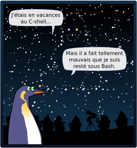 J'étais en vacances au C-shell... Mais il a fait tellement mauvais que je suis resté sous Bash.