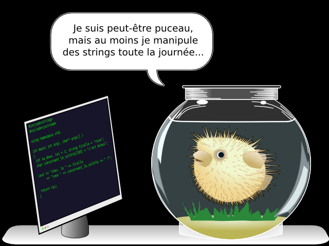 #include<string> #include<iostream>  using namespace std;  int main( int argc, char* argv[] )  {  int ou_deux, toi = 1; string ficelle = "rose";  char concernant_la_culotte[100] = "c'est mieux";   cout << "cher, la " << ficelle        << "\non " << concernant_la_culotte << " ?";   return toi; } Je suis peut-être puceau, mais au moins je manipule des strings toute la journée...