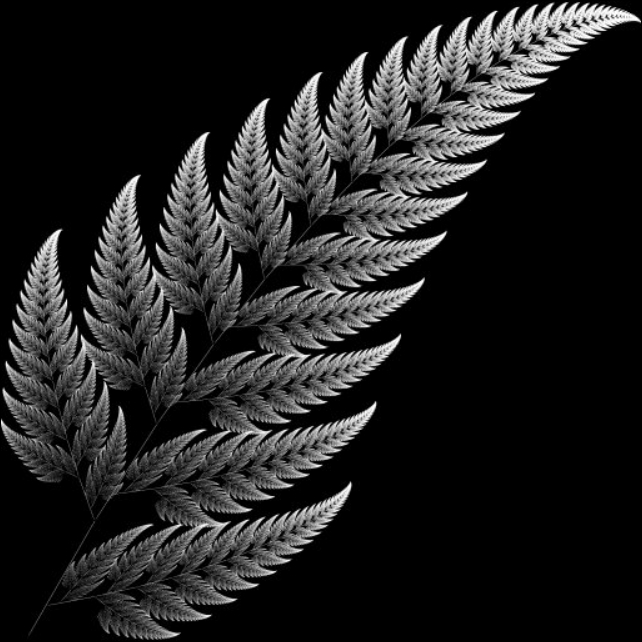 fractale « Barnsley fern » calculé par G’MIC