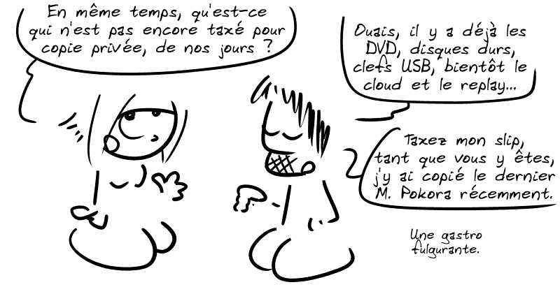La Geekette, blasée : « En même temps, qu'est-ce qui n'est pas encore taxé pour copie privée, de nos jours ? » Gee, les bras croisés : « Ouais, il y a déjà les DVD, disques durs, clefs USB, bientôt le cloud et le replay… Taxez mon slip, tant que vous y êtes, j'y ai copié le dernier M. Pokora récemment. Une gastro fulgurante. »