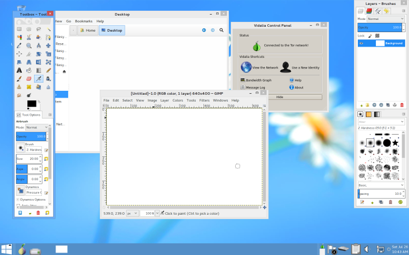Copie d'écran de Tails 1.1 avec le nouveau mode « camouflage » Windows 8