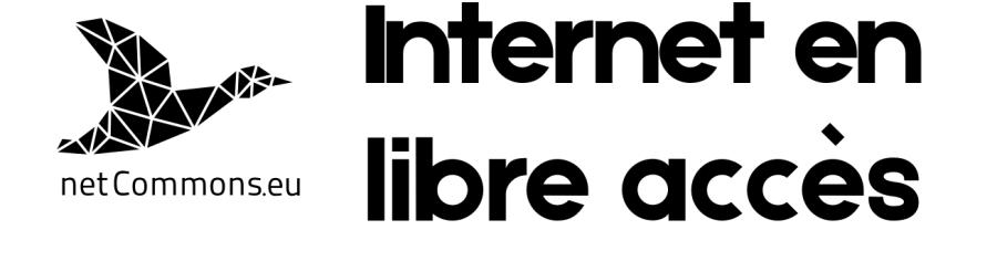 img-practice-guide-open-internet-french.png