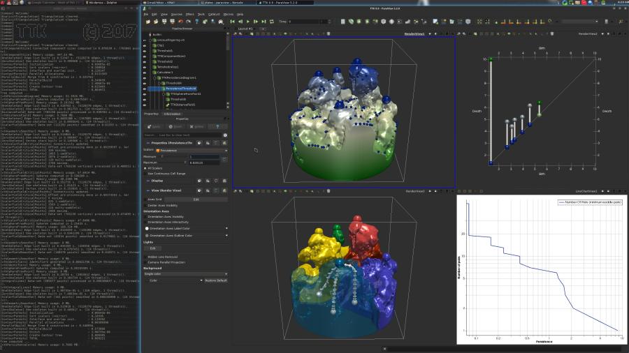 Source : https://topology-tool-kit.github.io/img/gallery/viscousFingering.jpg TTK Viscous fingering demo